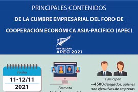Contenidos principales de la Cumbre Empresarial del APEC 2021 