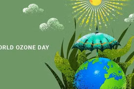 Vietnam se compromete a realizar acciones a favor de la capa de ozono