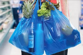 Hanoi se esfuerza por disminuir residuos plásticos