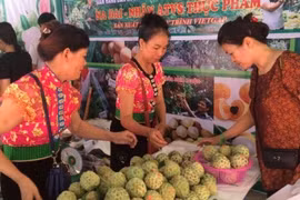 Promueve Vietnam desarrollo comercial en zonas montañosas e insulares