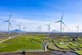 Estudia Vietnam reemplazar combustibles fósiles y fuentes hídricas con energía solar