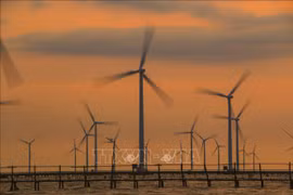 En alza producción de energía renovable de Vietnam entre enero y abril 