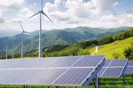 Destacan oportunidades de desarrollo de energías renovables en Delta del Mekong en Vietnam