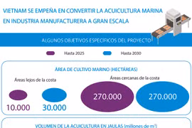 Vietnam se empeña en convertir la acuicultura marina en industria manufacturera a gran escala