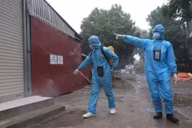 Reporta Vietnam más de ocho mil casos nuevos de COVID-19
