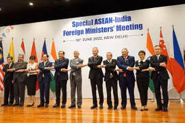 Vietnam participa en discusión ministerial sobre 30 años de relaciones ASEAN-India 