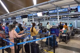 Vietnam Airlines aumenta frecuencia de vuelos para la fiebre de viajes de fin de año