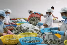 Incrementan exportaciones de productos agroforestales y acuáticos vietnamitas