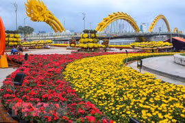 Ciudad de Da Nang, 25 años de orgullo