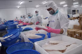 Ascienden ventas de productos acuáticos de Vietnam al exterior 