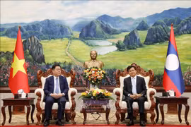 Vietnam y Laos fomentan relaciones partidistas