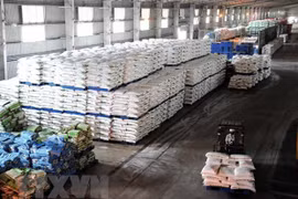 Ca Mau apunta a 1,3 mil millones de dólares de exportaciones en 2023