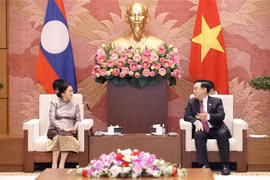 Fomentan nexos parlamentarios entre Vietnam y Laos