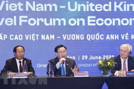 Periódicos italianos aprecian esfuerzos de Vietnam en garantía de derechos humanos