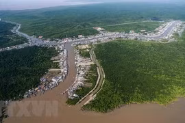 Provincia vietnamita de Ca Mau lanza programa turístico para atraer a más visitantes