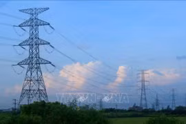 Firman contratos para proyectos de cooperación eléctrica entre Vietnam y Laos
