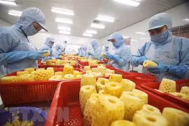 Aumento de exportaciones de verduras de Vietnam en grandes mercados 