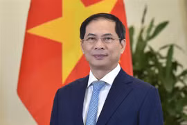 Vietnam se unirá a comunidad internacional para construir un mundo de paz