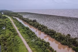 Vietnam trabaja por adaptarse al cambio climático