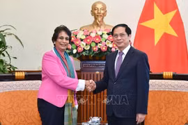 Canciller vietnamita recibe a la directora regional del PNUD para Asia-Pacífico 
