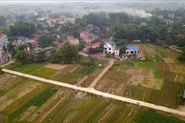 Provincia vietnamita de Bac Giang planea cumplir criterios avanzados de nuevas zonas rurales