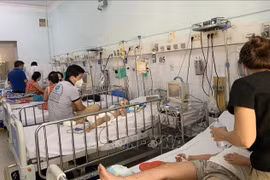 Vietnam impulsa acciones contra dengue