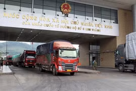 Actualizan a empresas vietnamitas trámite de exportación de almidón a China