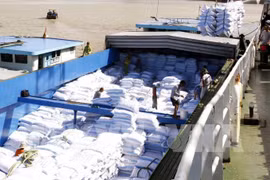 Exportaciones arroceras de Vietnam aumentan un 20 por ciento en siete meses