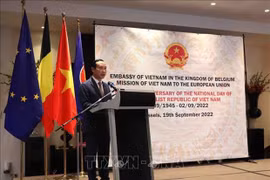 Relaciones de Vietnam con Bélgica y UE ahora están en su mejor momento, afirma embajador