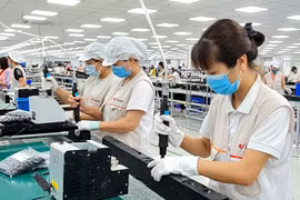 Ciudad vietnamita promueve conexión de inversiones con socios japoneses