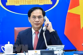 Vietnam concede importancia lazos con República Checa, afirma canciller