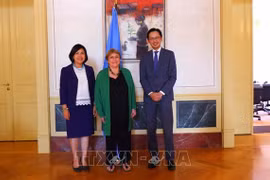Vietnam contribuye a actividades de diálogo y cooperación de CDH 