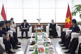Vietnam e Indonesia comparten experiencias de auditoría