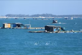 Buscan promover desarrollo sostenible de la acuicultura marina en provincia vietnamita