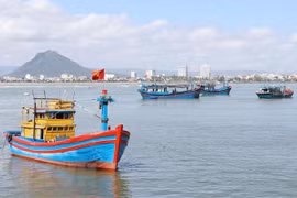 Localidades vietnamitas se esfuerzan por combatir la pesca ilegal en aguas extranjeras