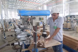 Estados Unidos extiende tiempo de provisión de información sobre gabinetes de madera de Vietnam