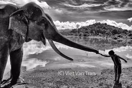 Periodista vietnamita gana dos platas en los Premios de Fotografía de Nueva York