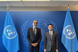 Vietnam desea colaborar con ONU en transformación digital, destaca embajador