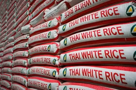 Exportación de arroz tailandés aumenta de enero a septiembre 