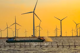 Vietnam desarrolla energía eólica marina 