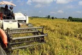 Vietnam y ASEAN prometen erradicar pobreza y garantizar seguridad alimentaria 