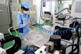 Desarrollo económico verde: un factor importante para atraer la inversión extranjera en Vietnam