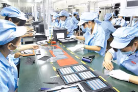 Efectúan en Vietnam seminario sobre aplicación de física nuclear en ciencia y tecnología