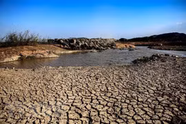 Vietnam por luchar contra la desertificación y la sequía