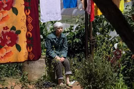 Vietnam participará en Festival Internacional de Cine de Busán 2022