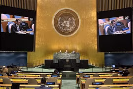 Vietnam – ONU, socios de cooperación por el desarrollo sostenible