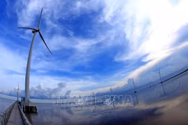 Asesor especial de ONU elogia el papel de Vietnam en respuesta al cambio climático global