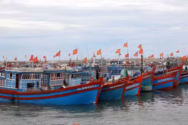 Destacan esfuerzos de provincia vietnamita en lucha contra pesca ilegal
