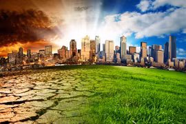 Lanzan primera red empresarial de adaptación al cambio climático en Vietnam