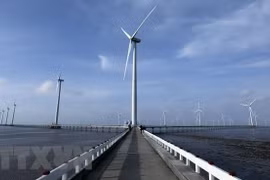 Destacan impulso a la energía verde en Asia 
